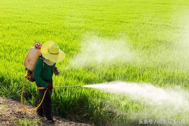 Insecticide lampen op zonne-energie en pesticiden tegen elkaar, wie is beter?